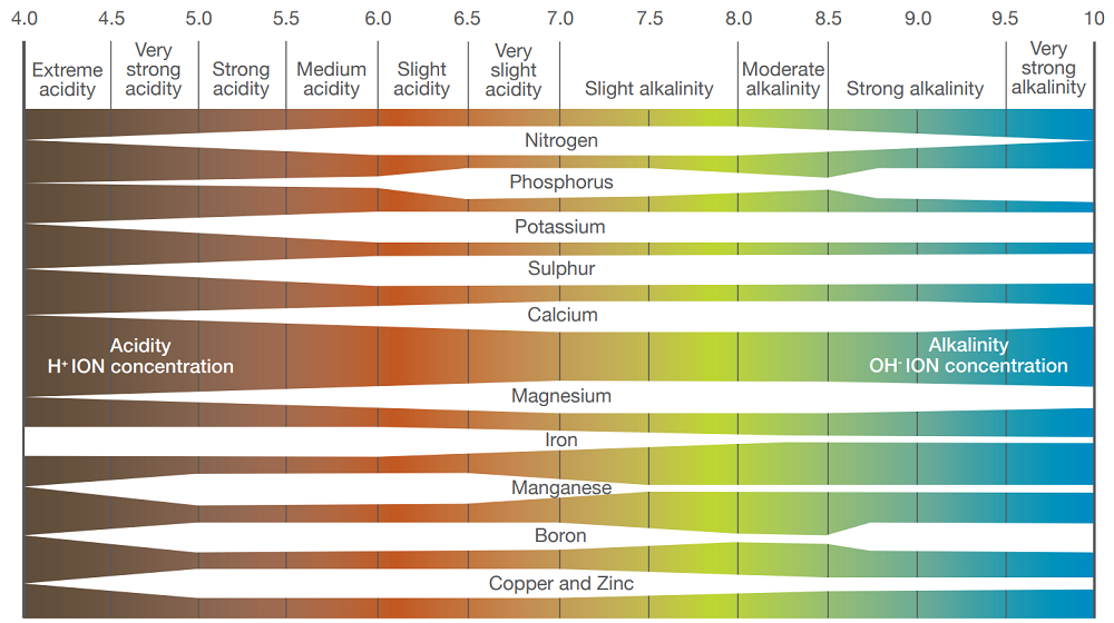 Chart showing crop nutrient availabity at a range of soil pH